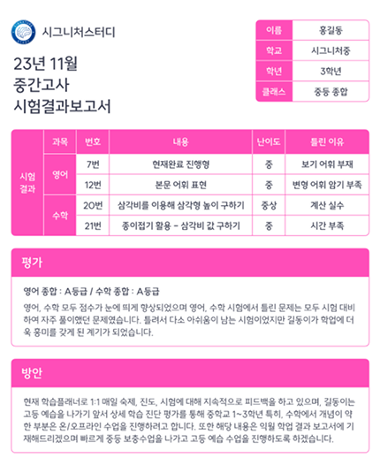 맞춤형 결과보고서